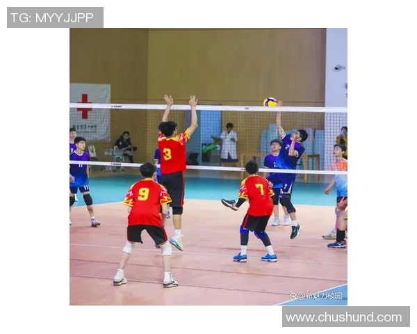 南京排球队的训练与比赛状态全景揭秘助力排球巨献的背后故事