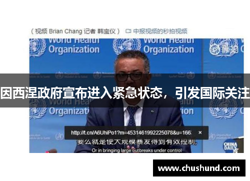 因西涅政府宣布进入紧急状态，引发国际关注