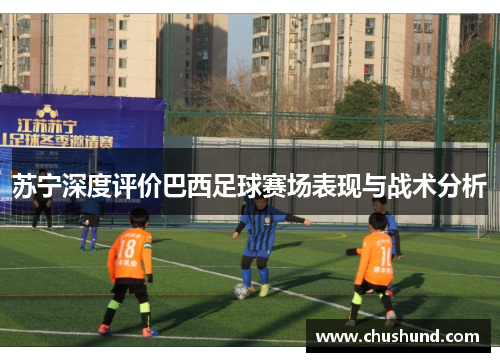 苏宁深度评价巴西足球赛场表现与战术分析